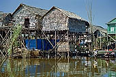 Tonle Sap - Kampong Phluk floating village - stilted houses 